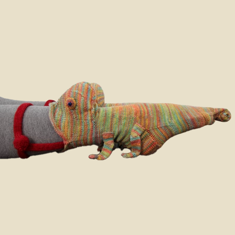 カメレオンソックス