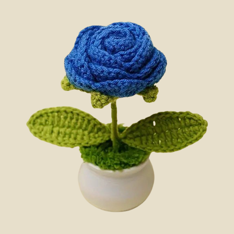 ブルークロシェローズ