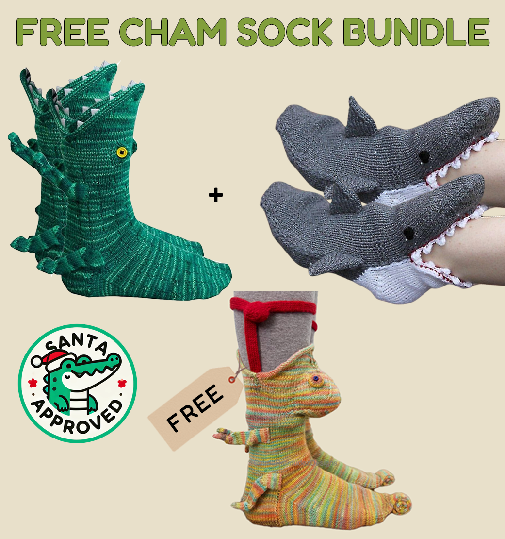 無料のCham Socksバンドル